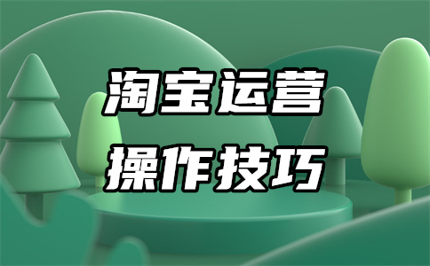 网店运营 网店运营