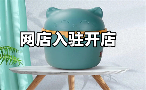 天猫开店 天猫开店