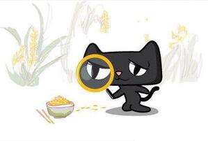 天猫入驻失败原因,失败后还能入驻吗