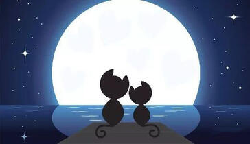 2019天猫招商大变动,这些你必须了解!