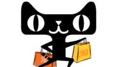 天猫店铺类型有哪几种?