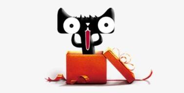 天猫旗舰店适合那些类目入驻?