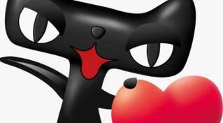 天猫入驻品牌评估和资质审核需要做哪些准备工作?