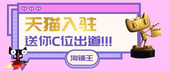 网店转让与天猫入驻平台的安全规范