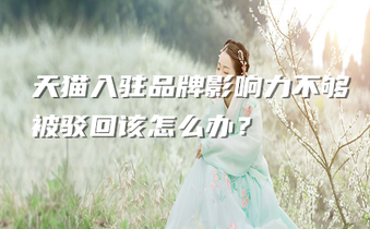 天猫入驻品牌影响力不够被驳回该怎么办?